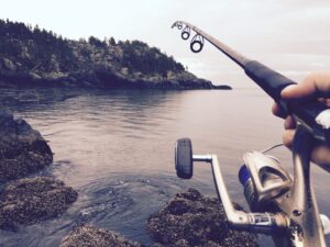 Fly Fishing Basics For Beginners