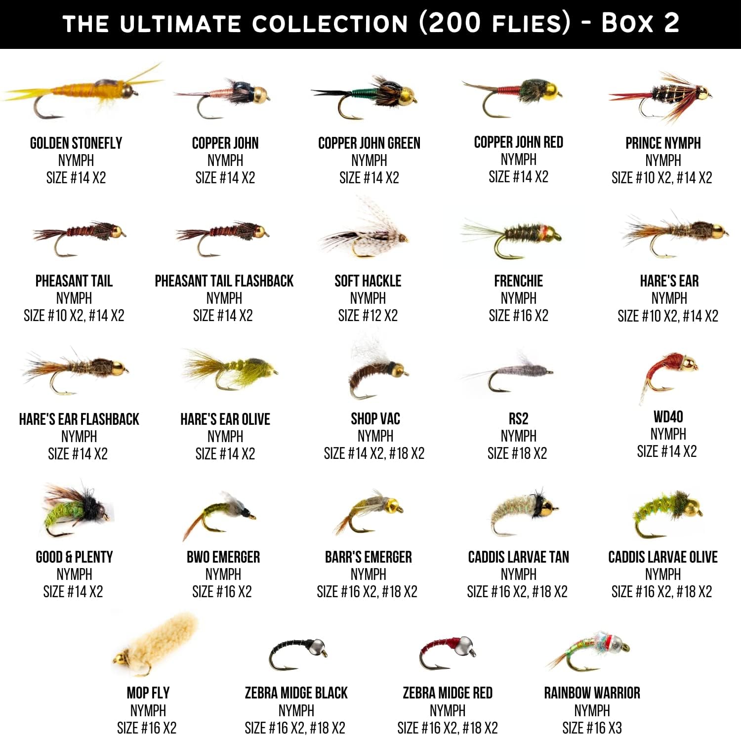 200 Premium Hand Tied Fly Fishing Flies Assortment Review